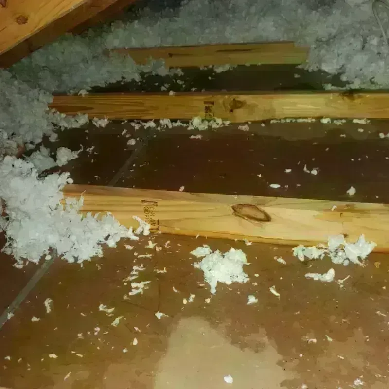 Attic Water Damage in Hereford, TX