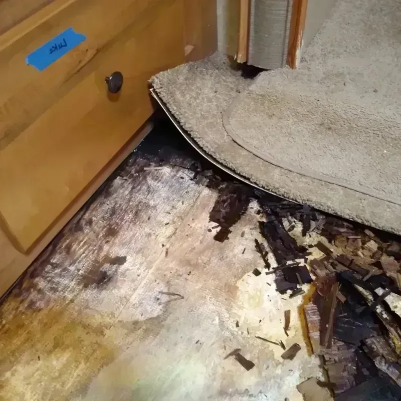 Wood Floor Water Damage in Hereford, TX